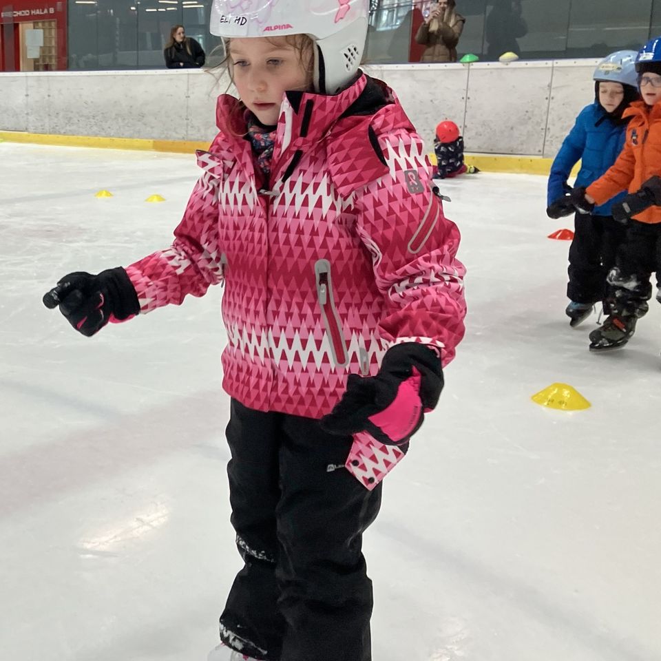 Kurz ľadového korčuľovania