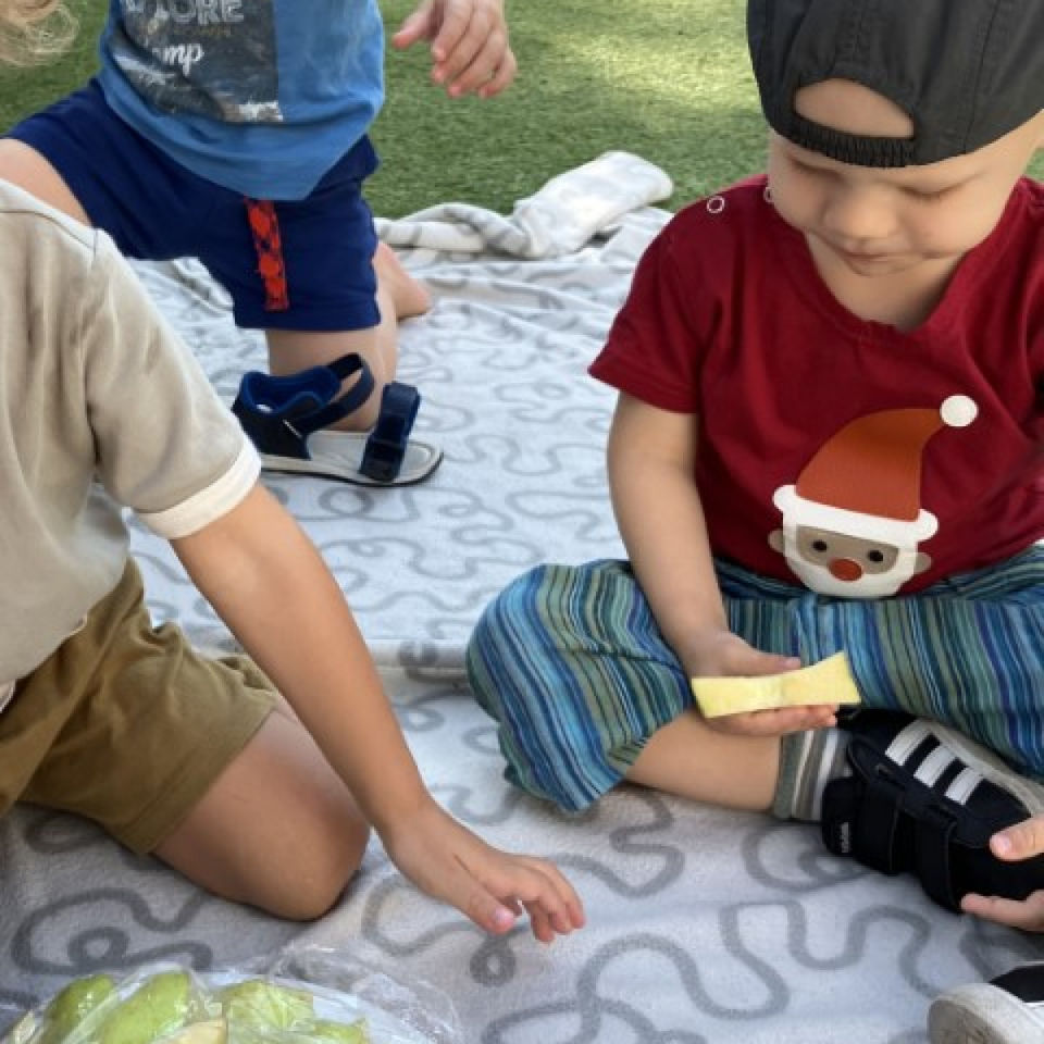 Teambuildingový piknik