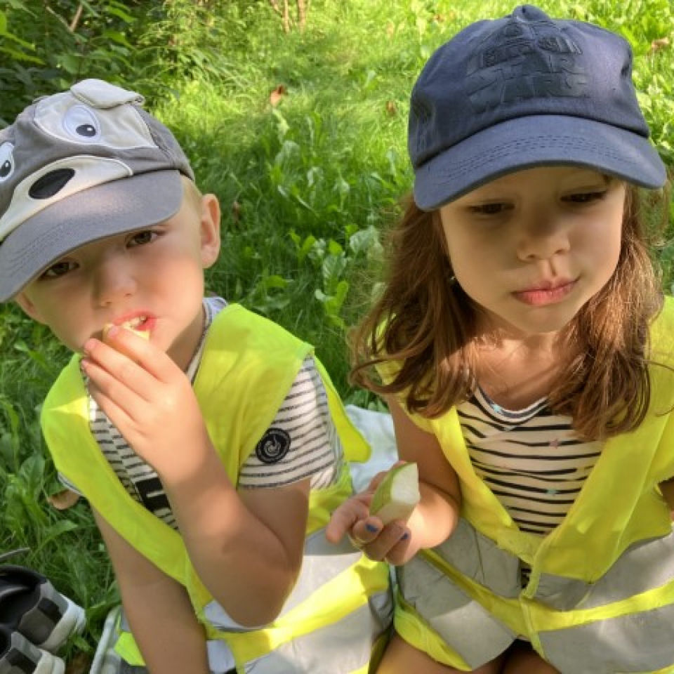 Teambuildingový piknik