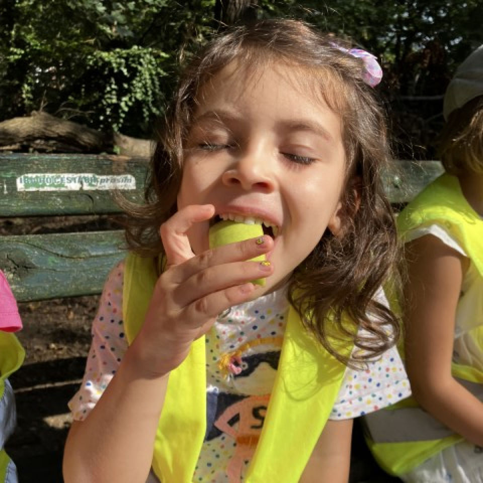 Teambuildingový piknik