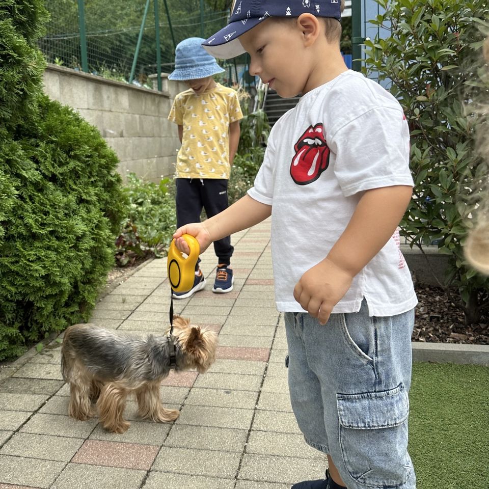 Máme radi zvieratá