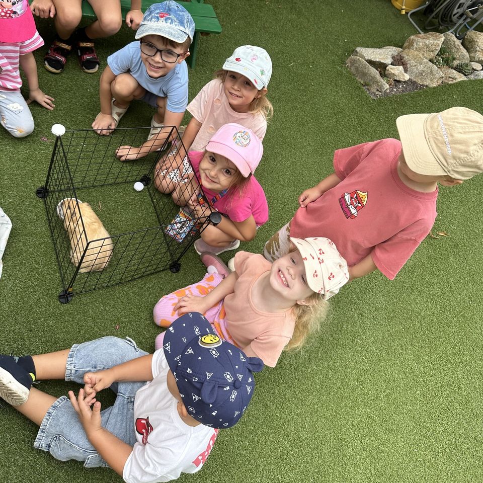 Máme radi zvieratá