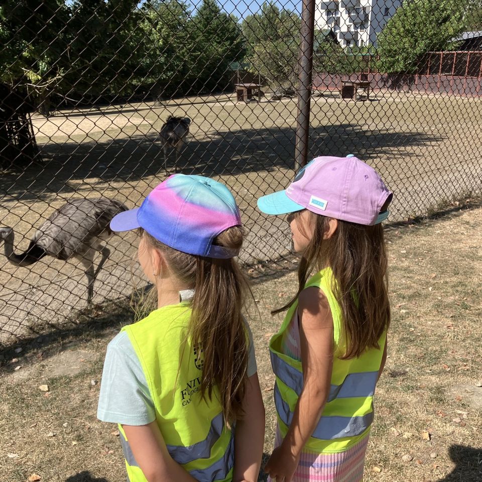 Máme radi zvieratá