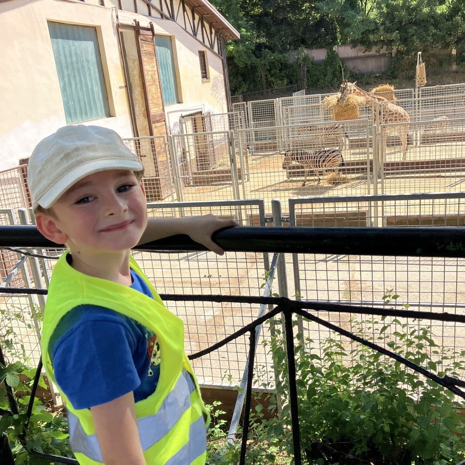 Máme radi zvieratá