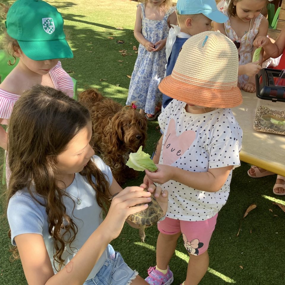 Máme radi zvieratá