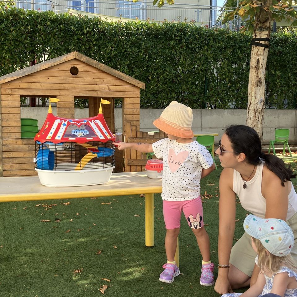 Máme radi zvieratá