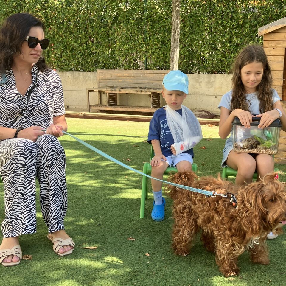 Máme radi zvieratá