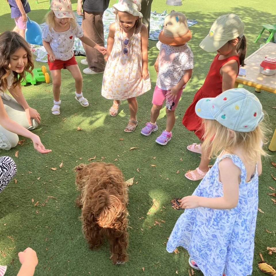 Máme radi zvieratá