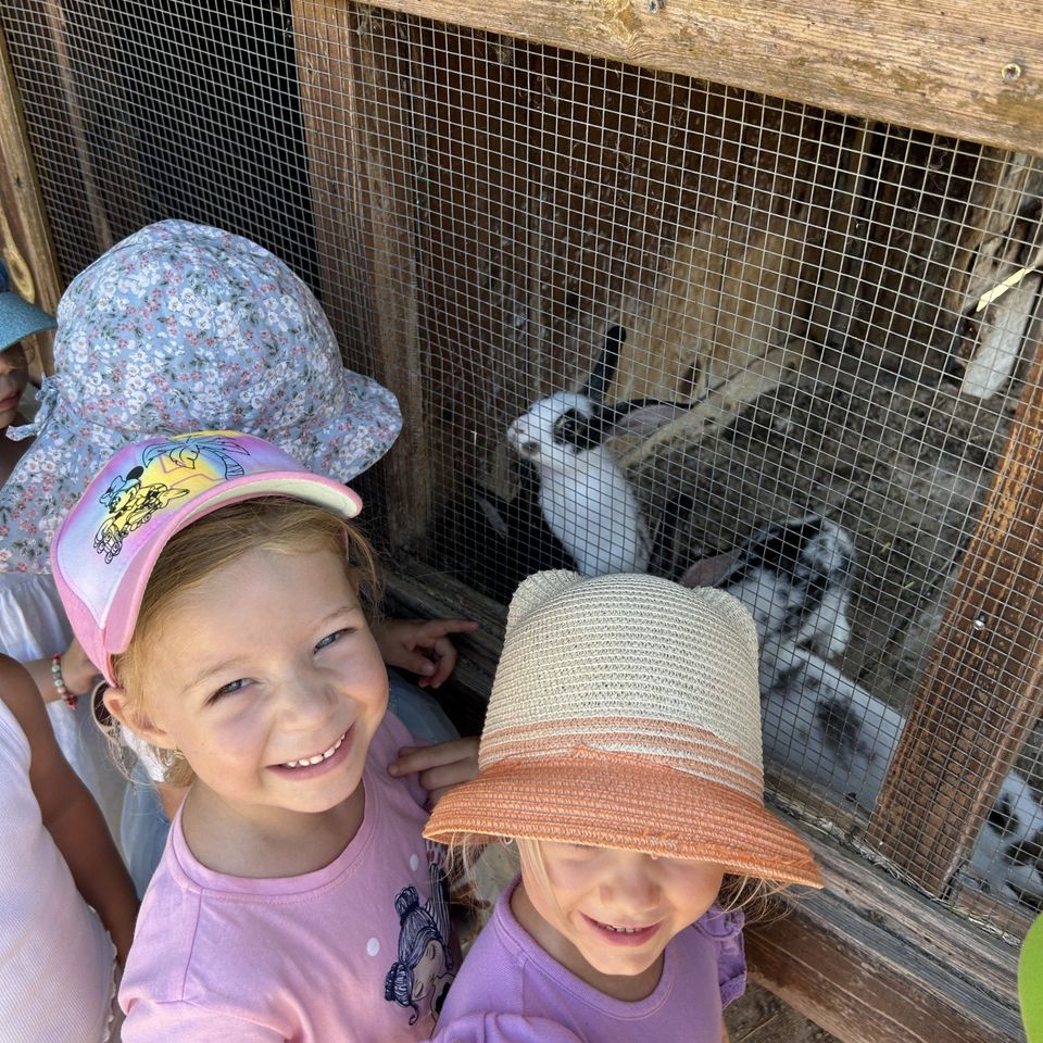 Máme radi zvieratá