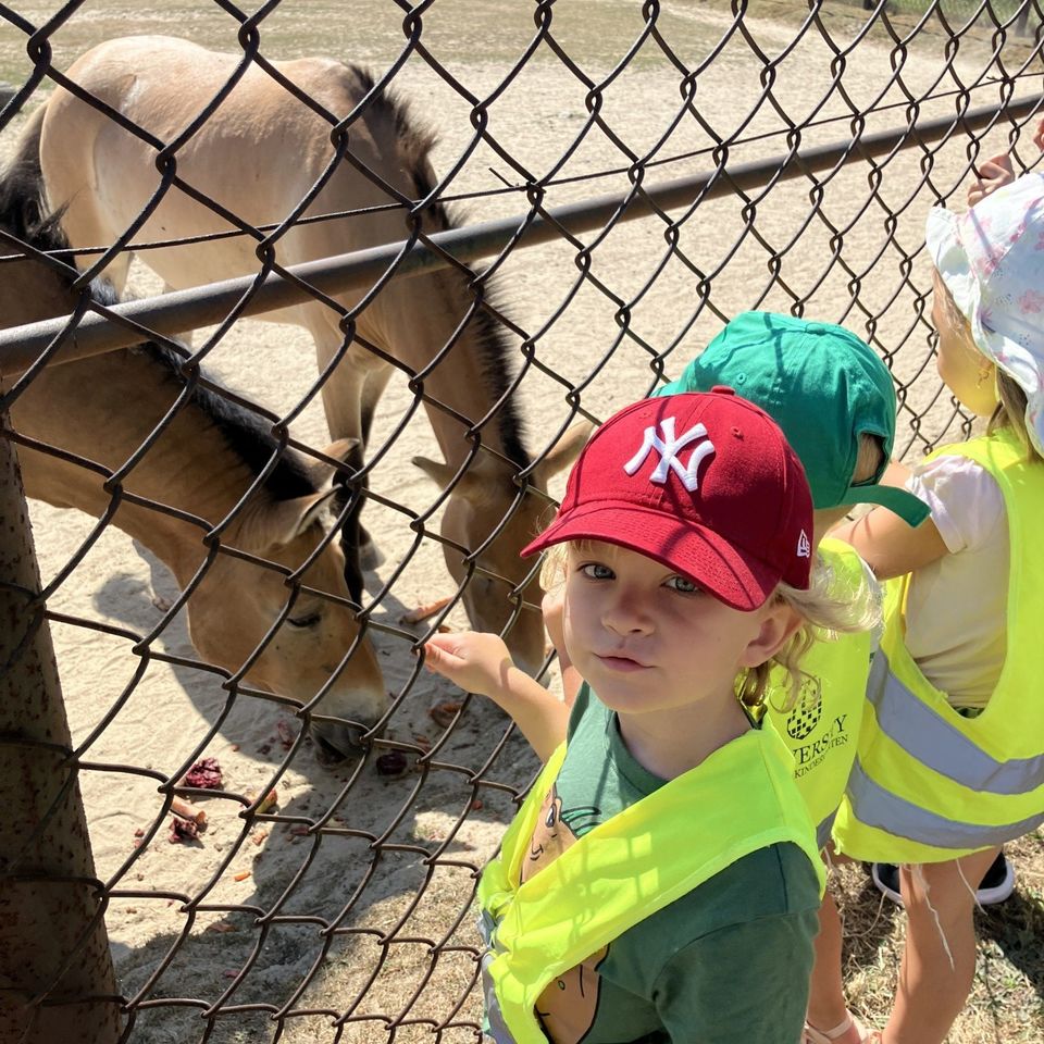 Máme radi zvieratá