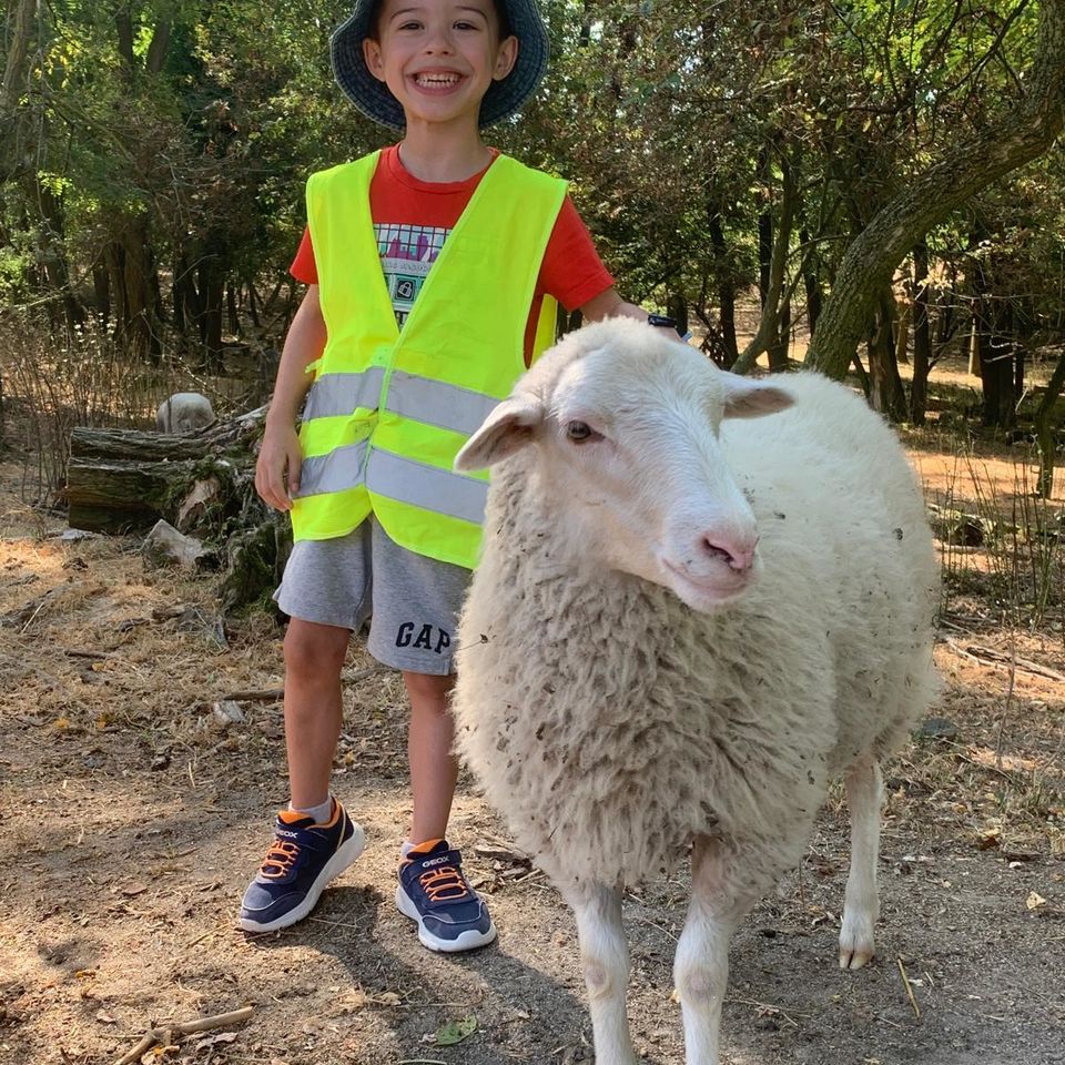 Máme radi zvieratá