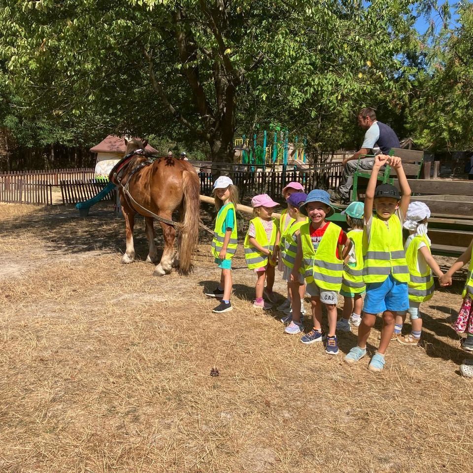 Máme radi zvieratá