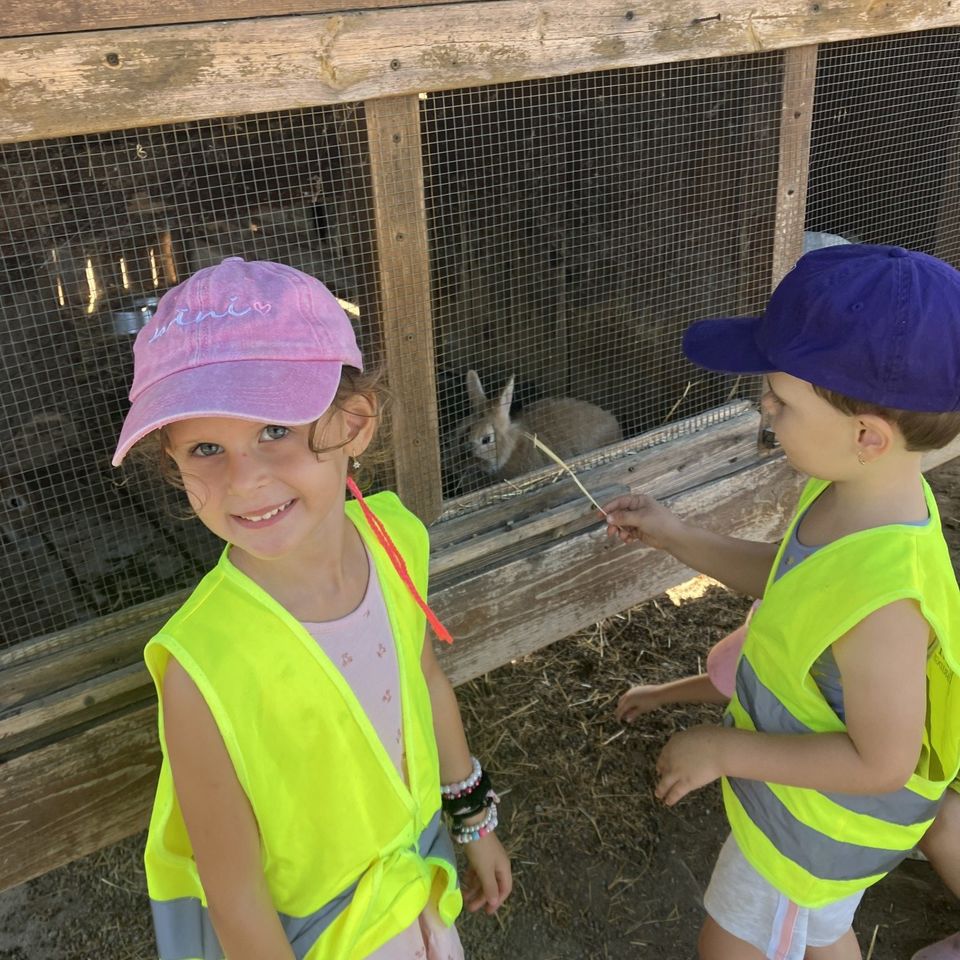 Máme radi zvieratá