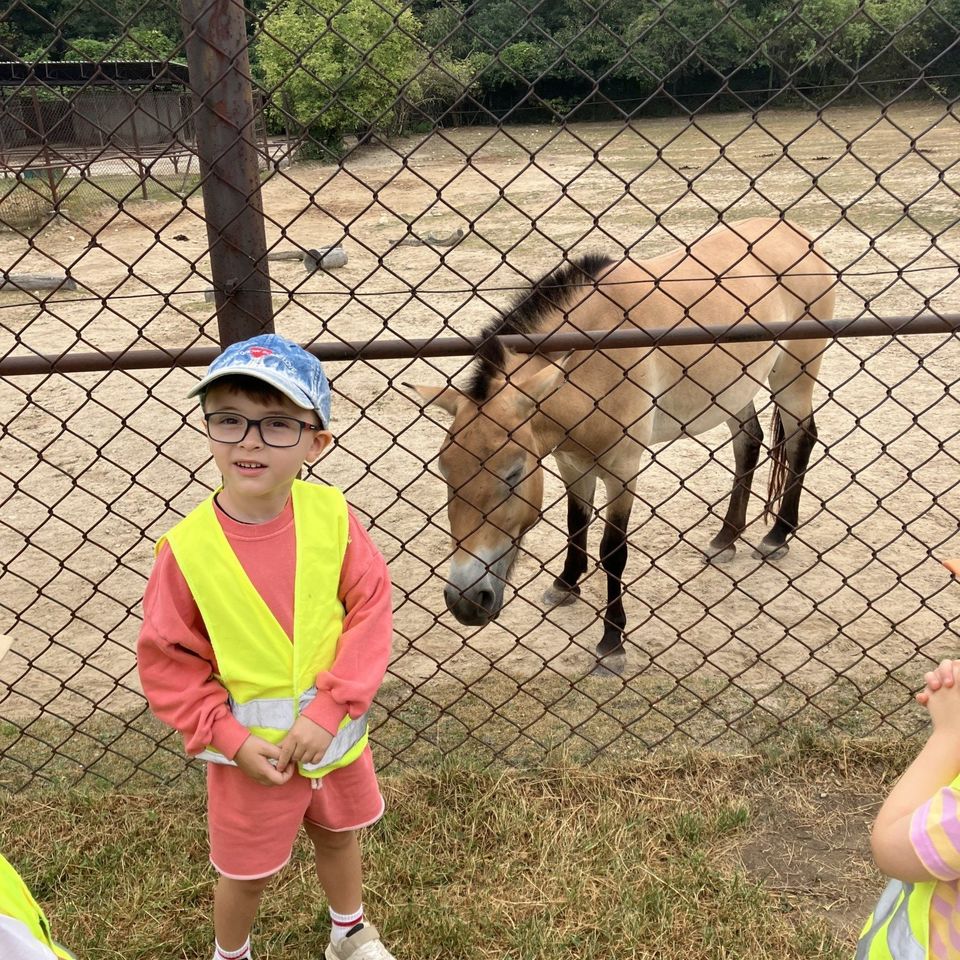 Máme radi zvieratá