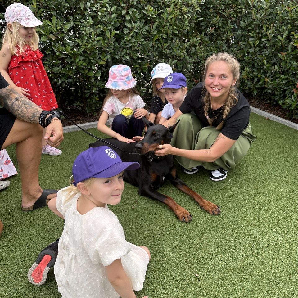 Máme radi zvieratá