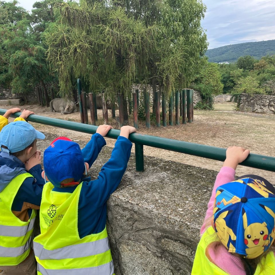 Máme radi zvieratá