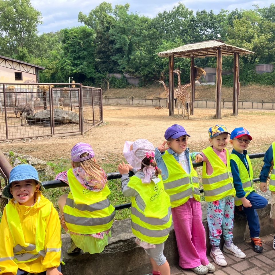 Máme radi zvieratá