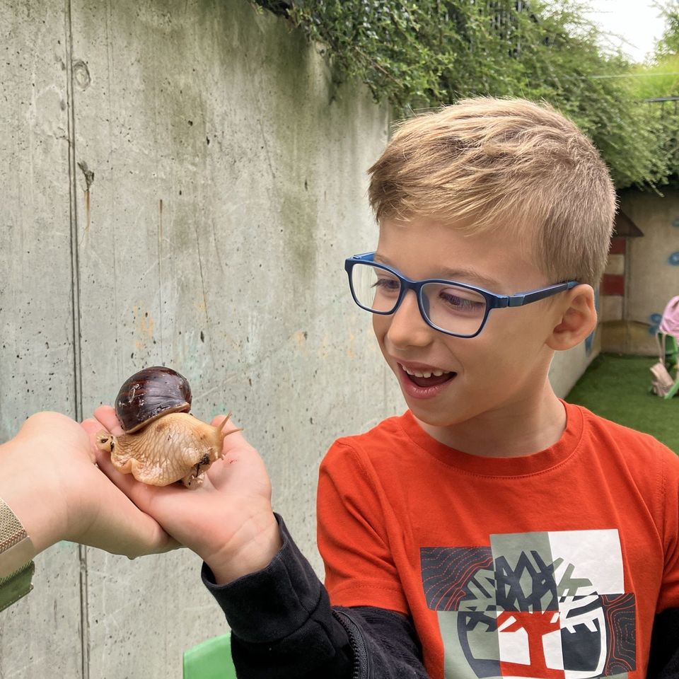 Máme radi zvieratá