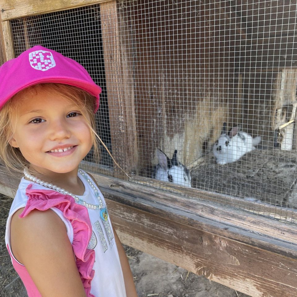 Máme radi zvieratá