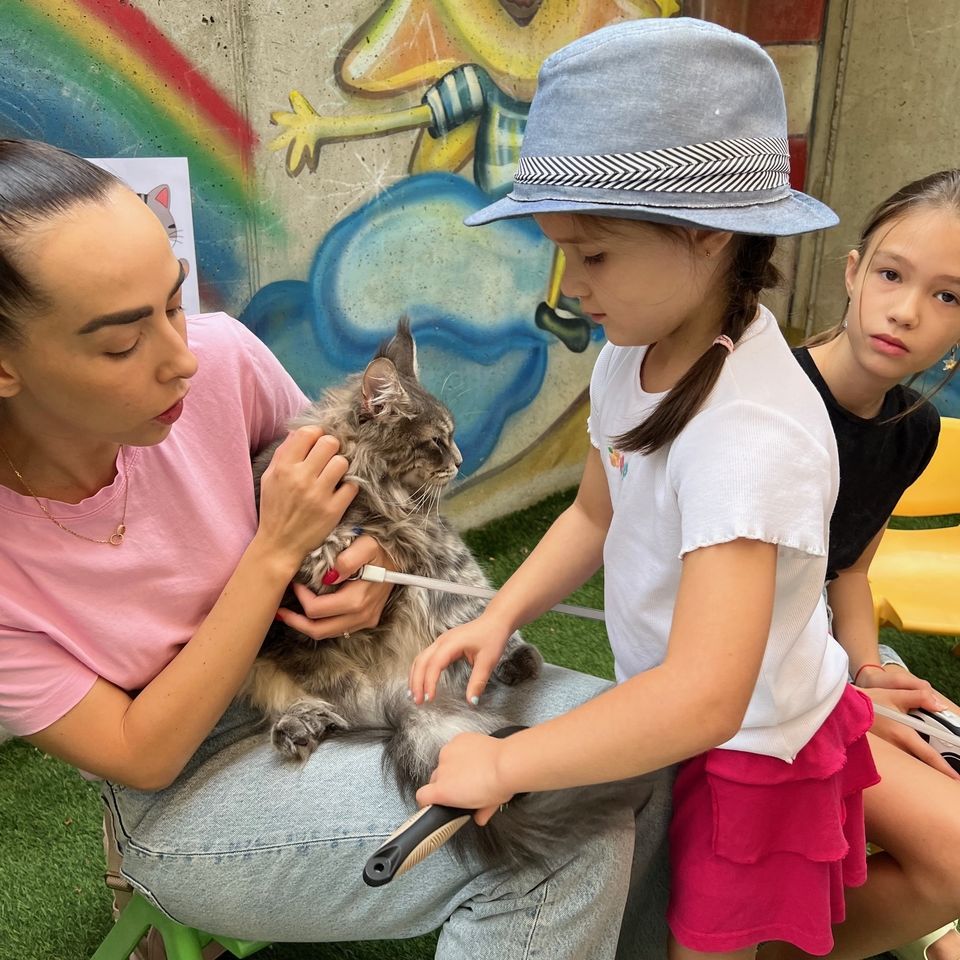 Máme radi zvieratá