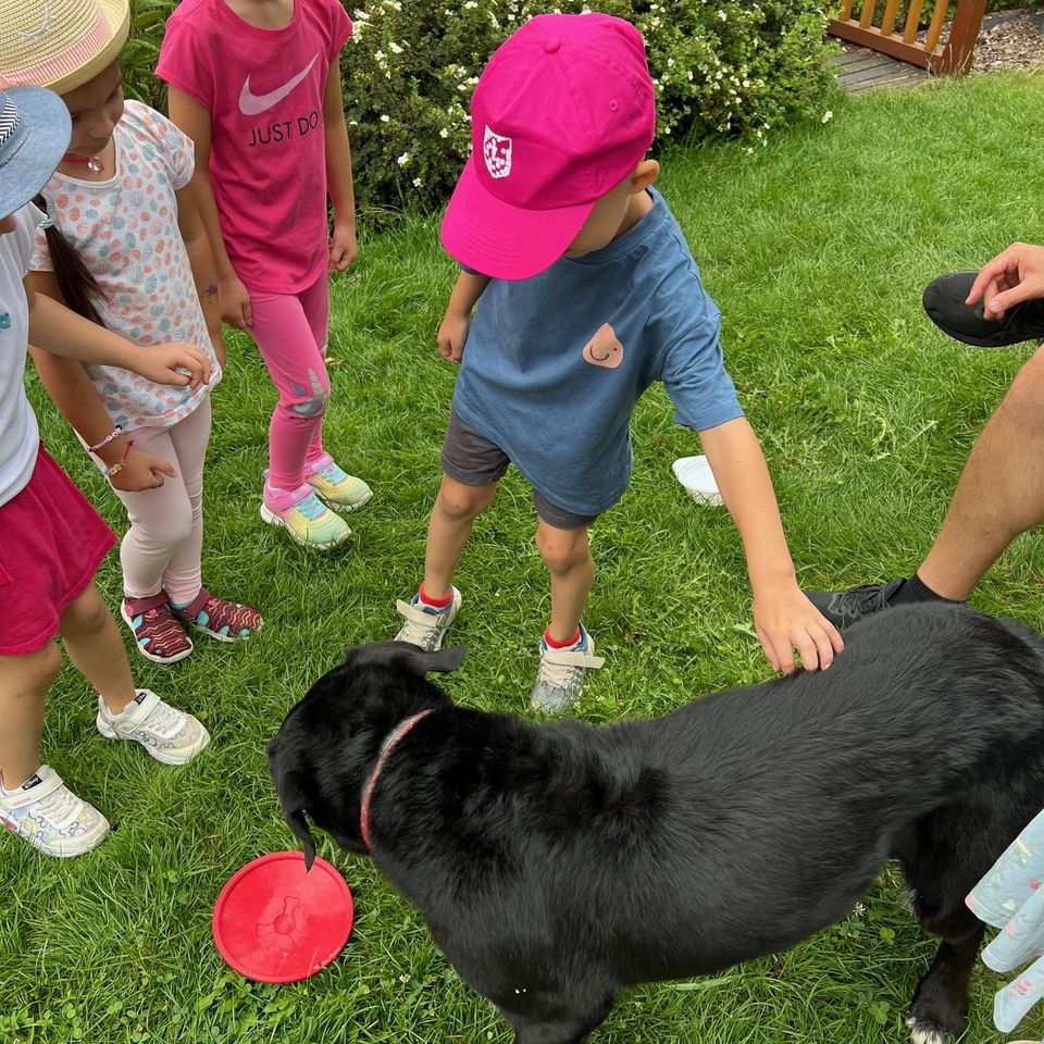 Máme radi zvieratá