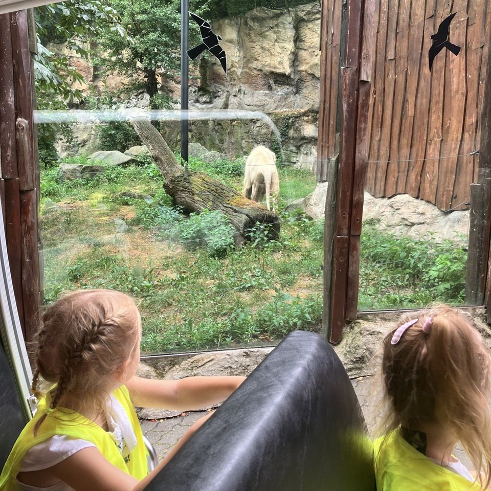 Máme radi zvieratá