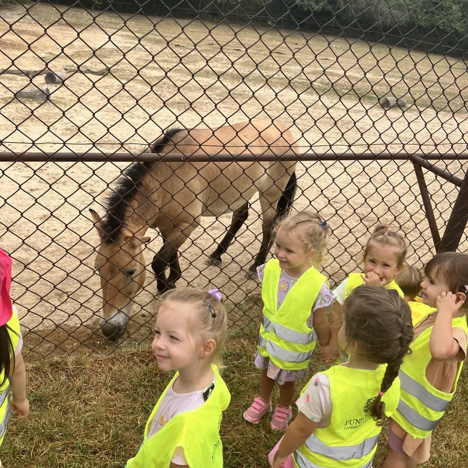 Máme radi zvieratá