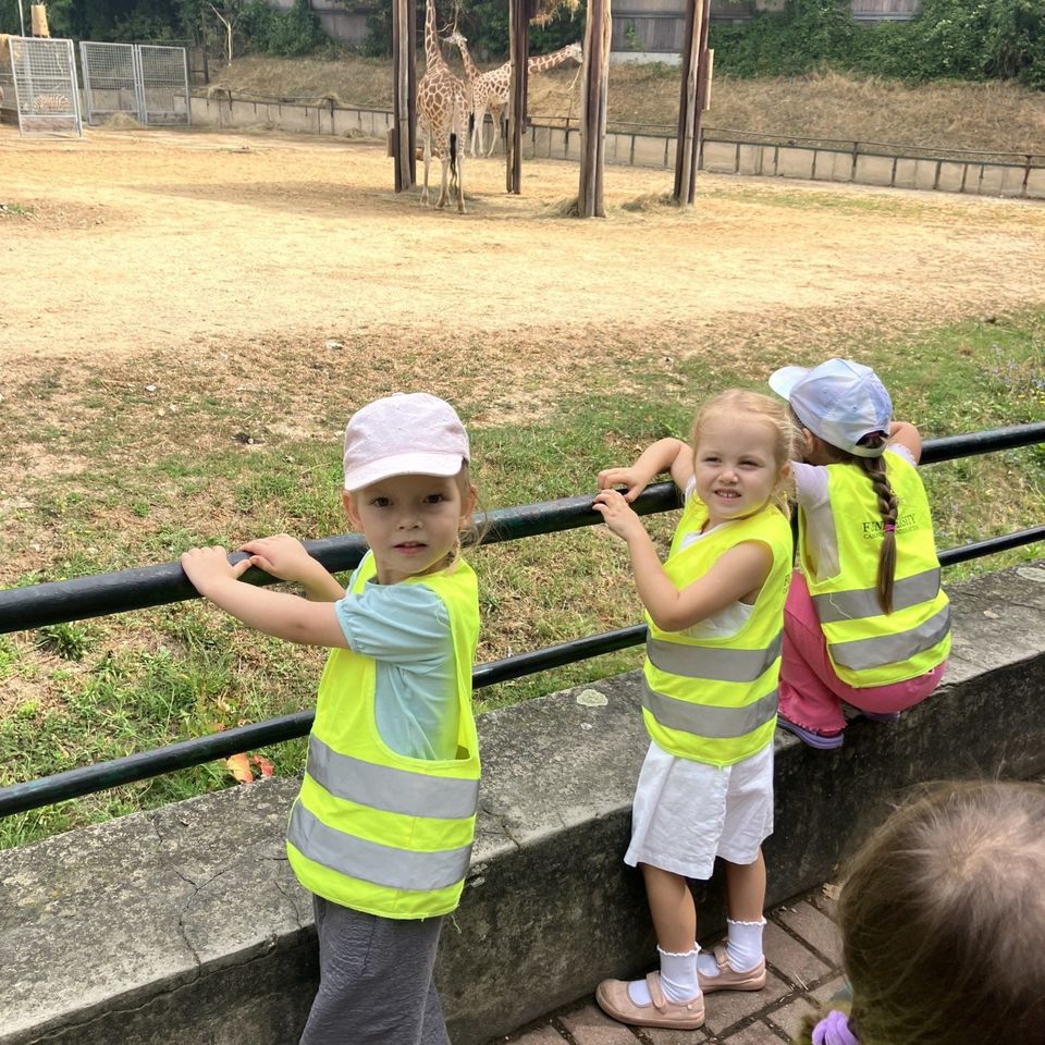 Máme radi zvieratá