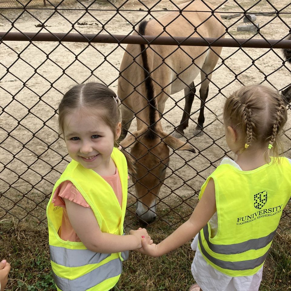 Máme radi zvieratá