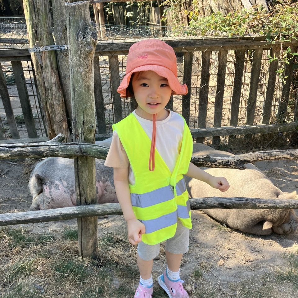 Máme radi zvieratá