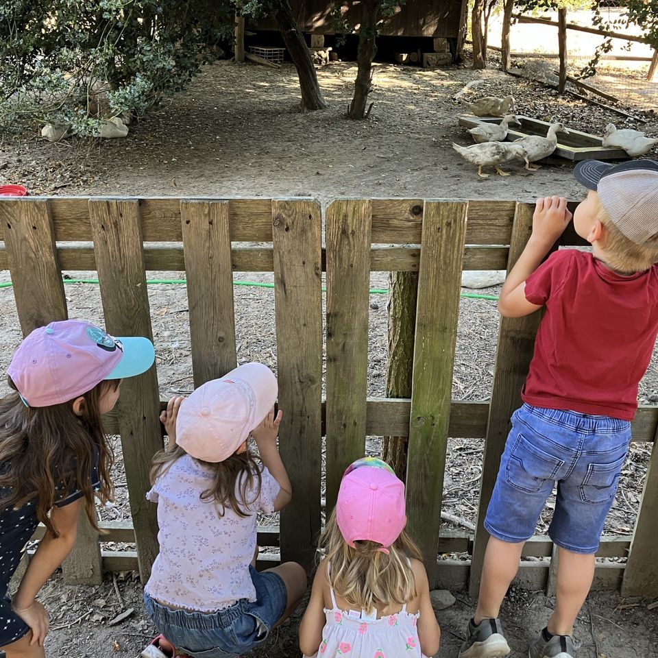 Máme radi zvieratá