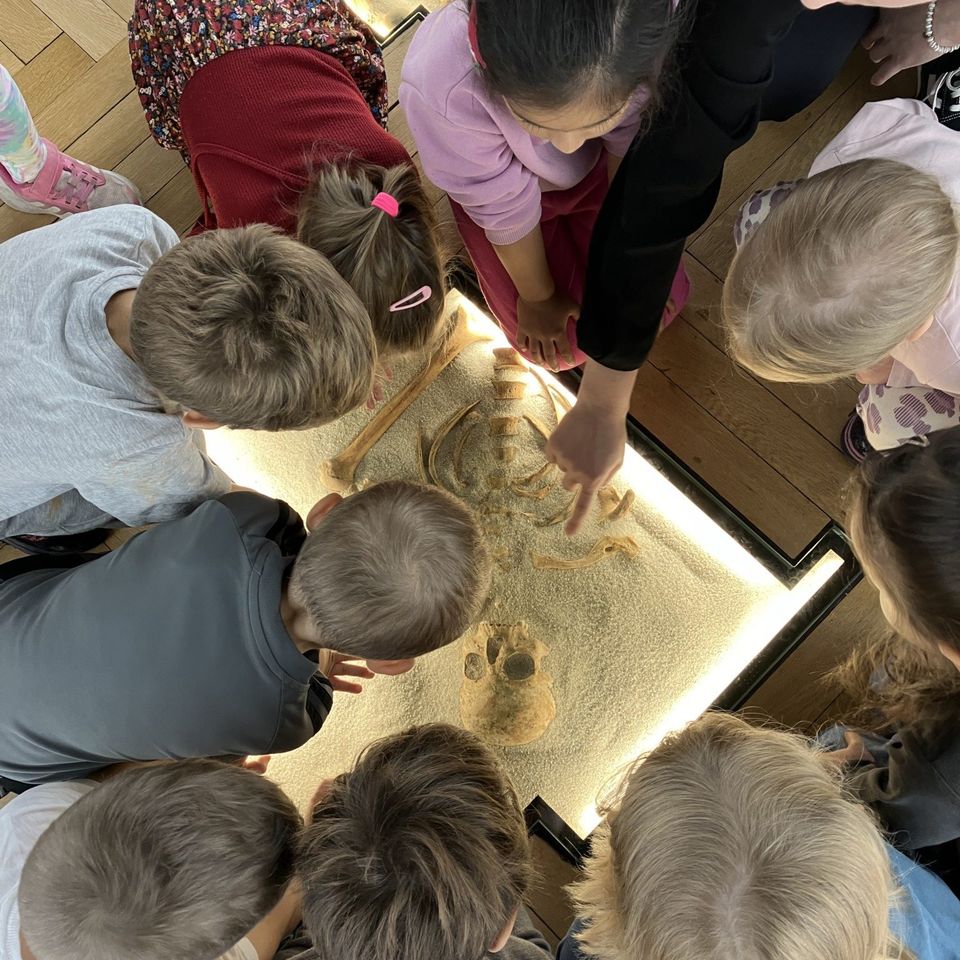 Slovenské národné múzeum