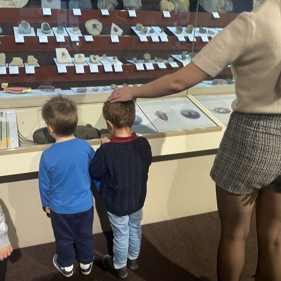 Slovenské národné múzeum