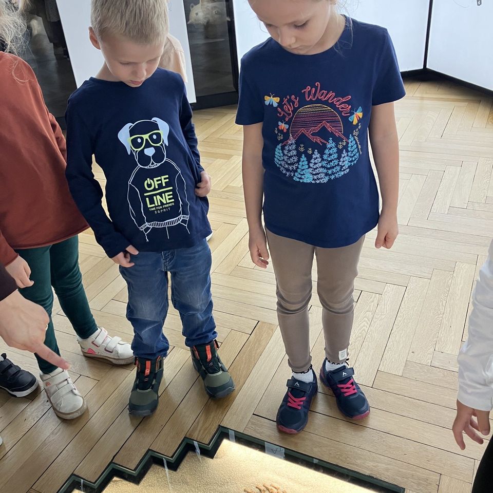 Slovenské národné múzeum