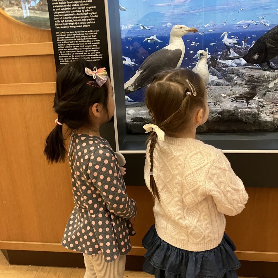 Slovenské národné múzeum