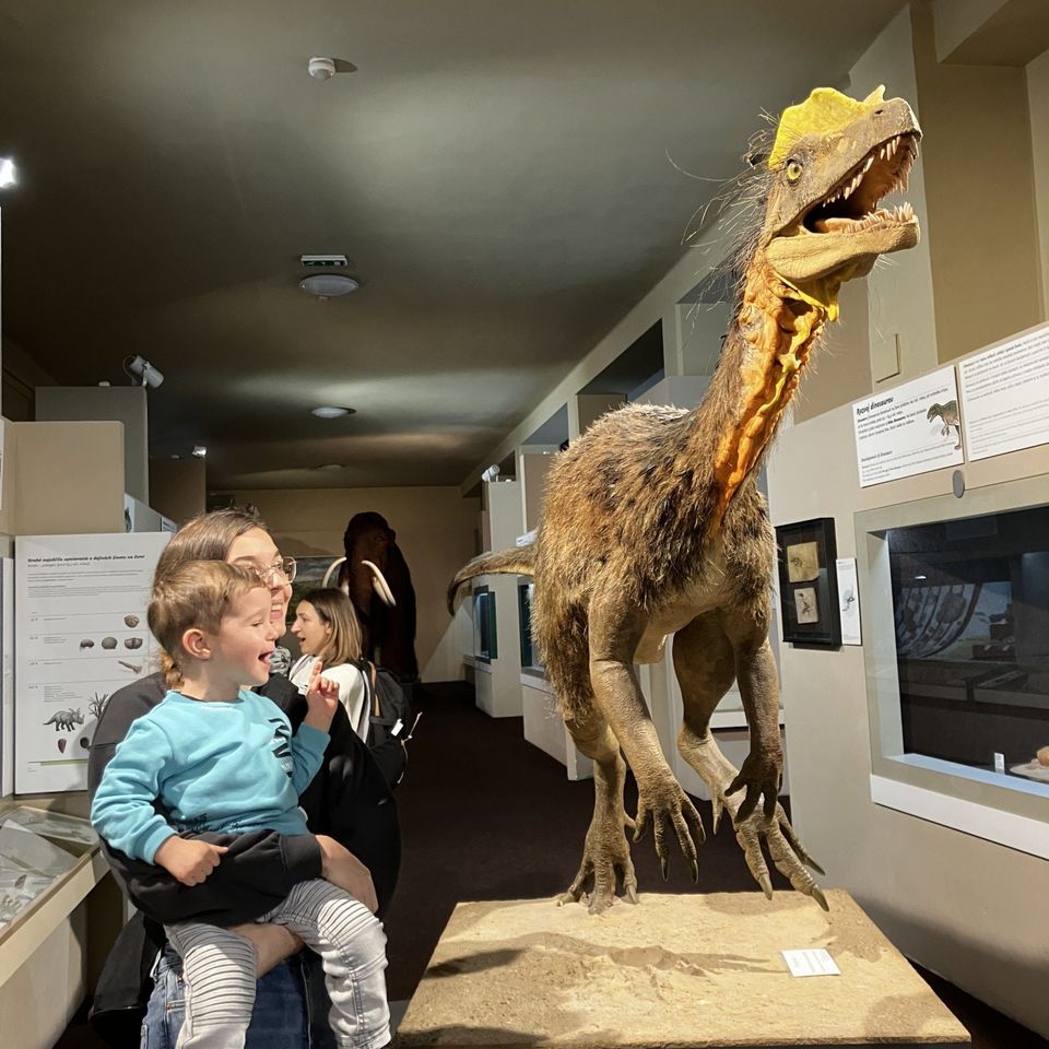 Slovenské národné múzeum