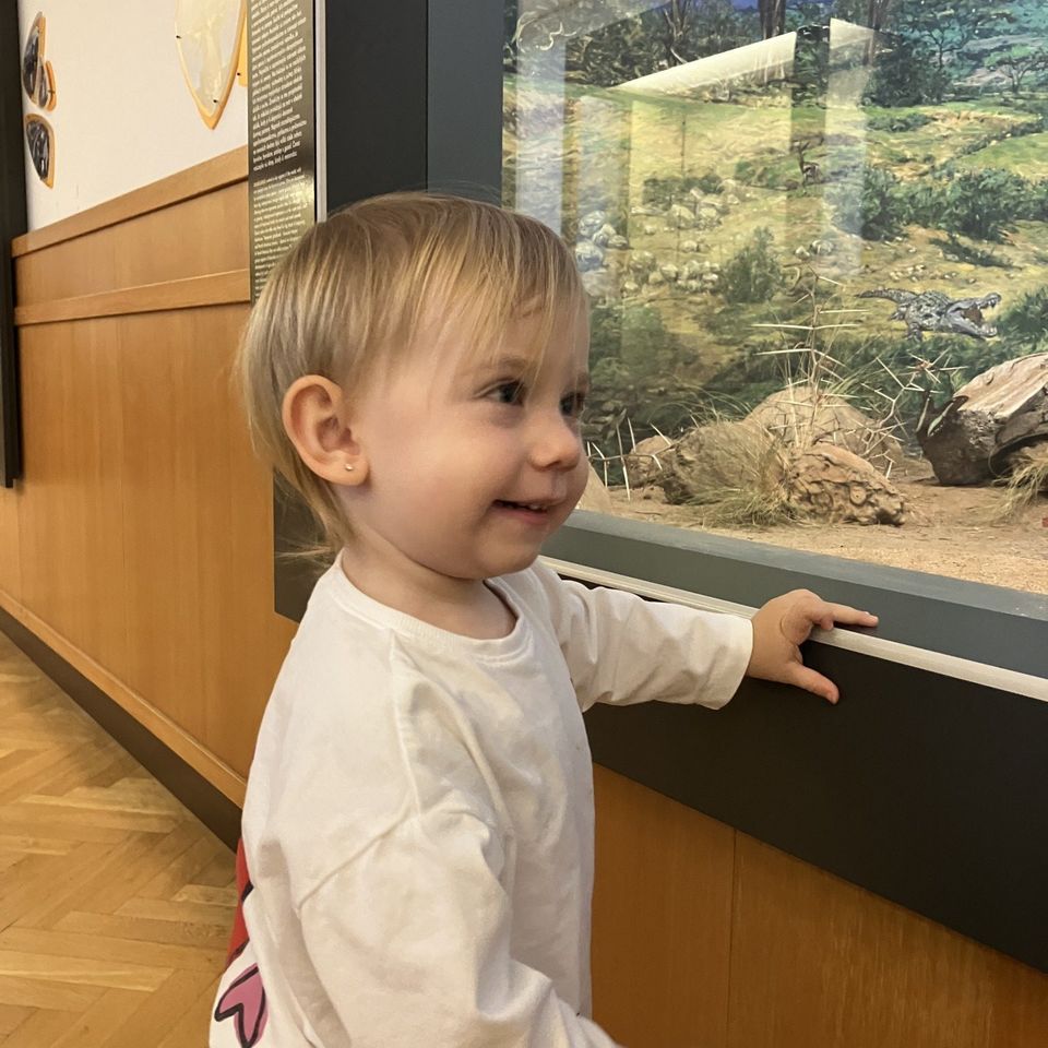 Slovenské národné múzeum