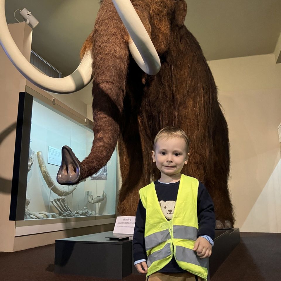 Slovenské národné múzeum