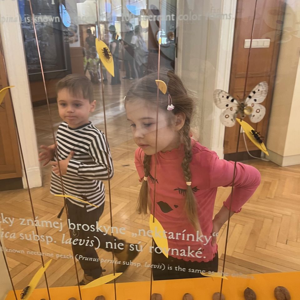 Slovenské národné múzeum