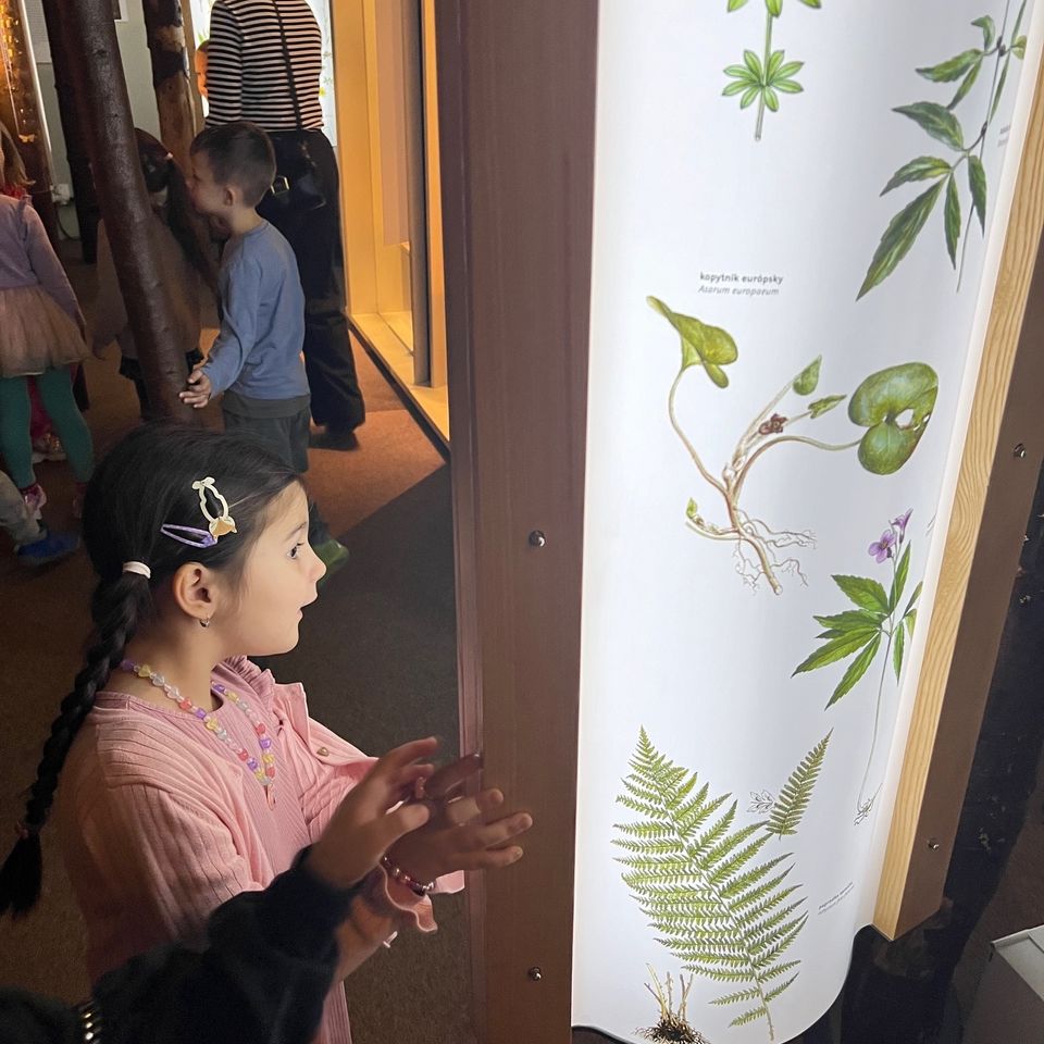 Slovenské národné múzeum