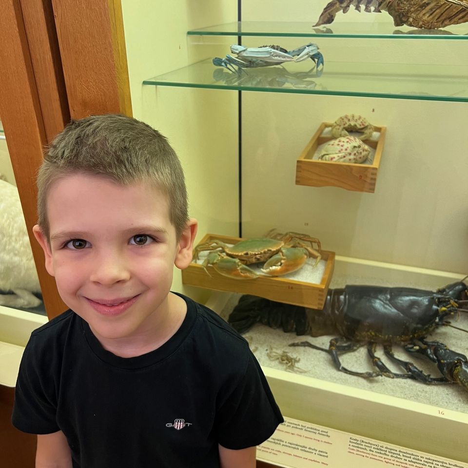 Slovenské národné múzeum