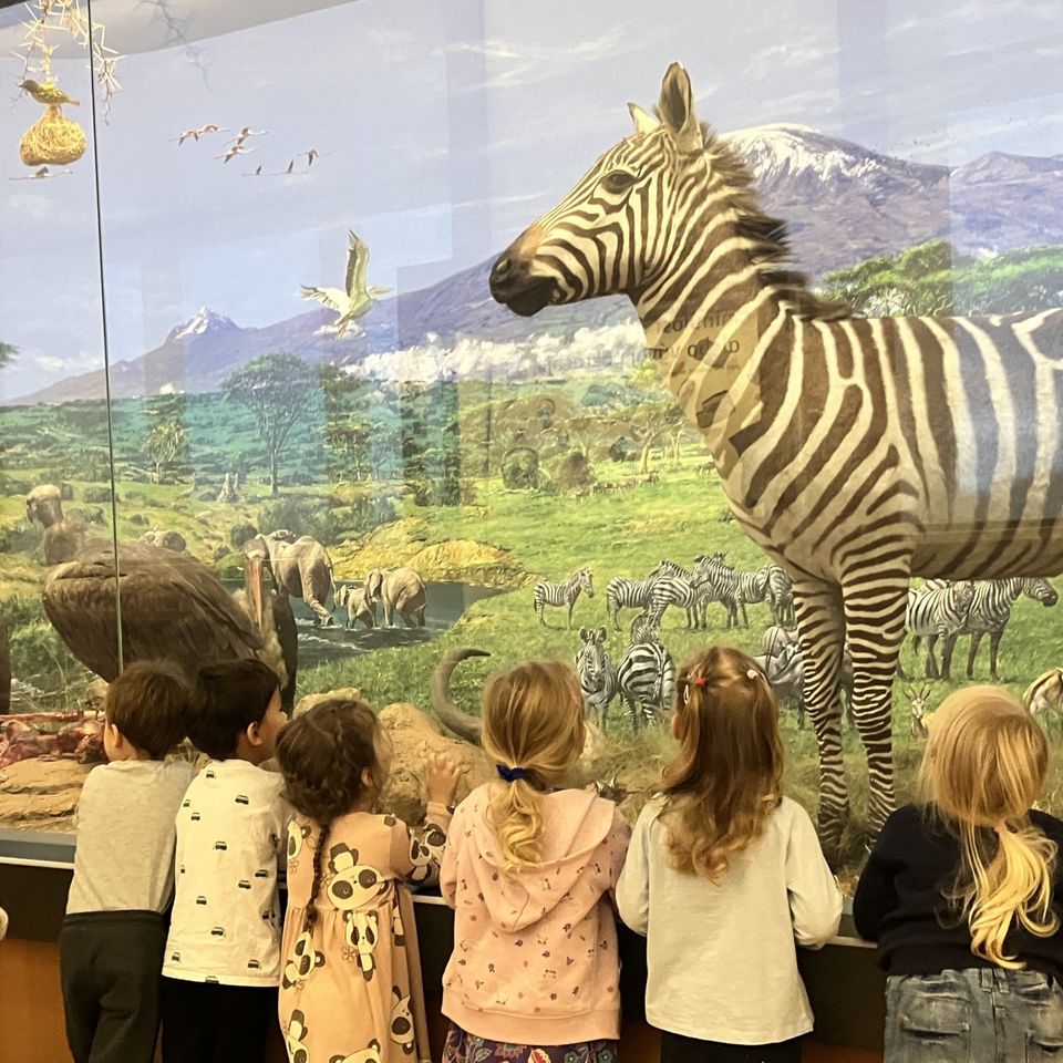 Slovenské národné múzeum