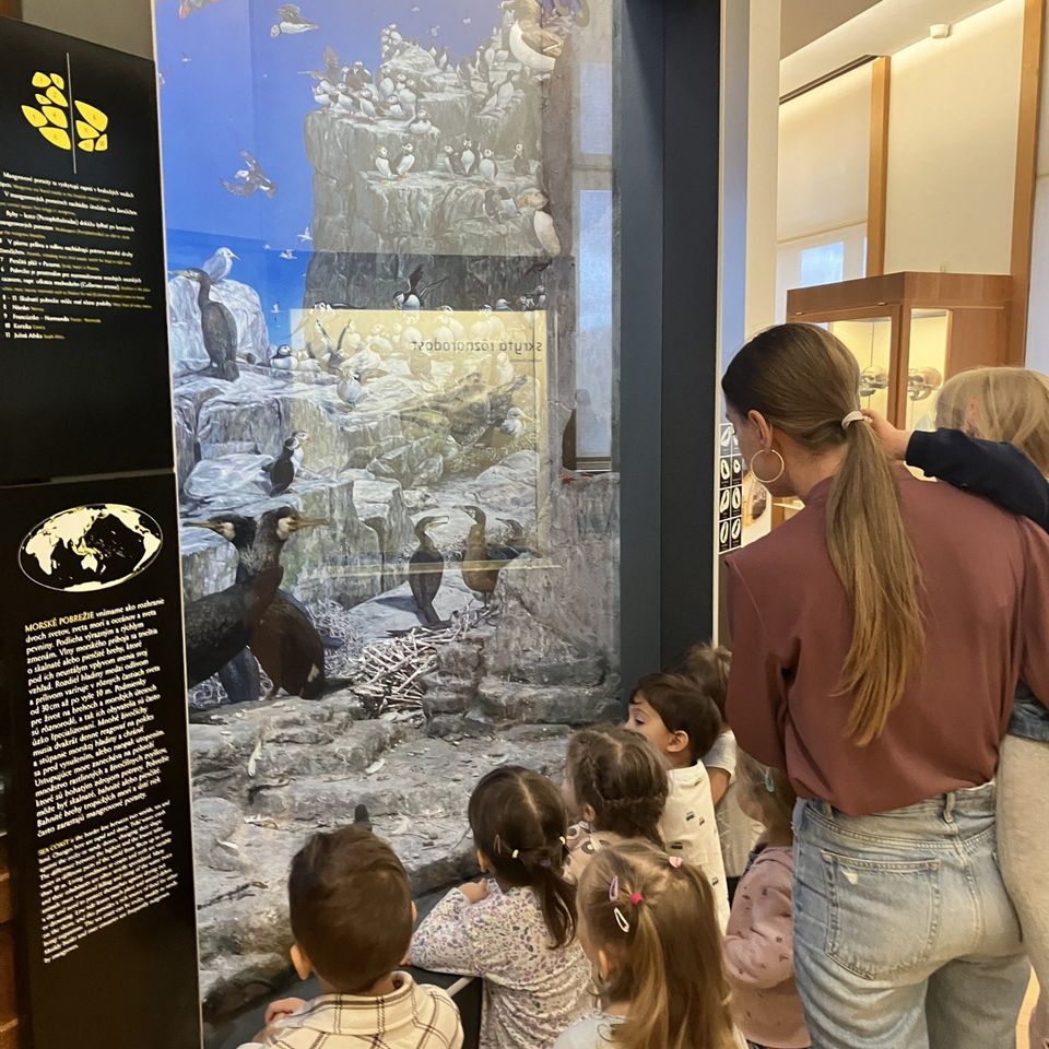 Slovenské národné múzeum