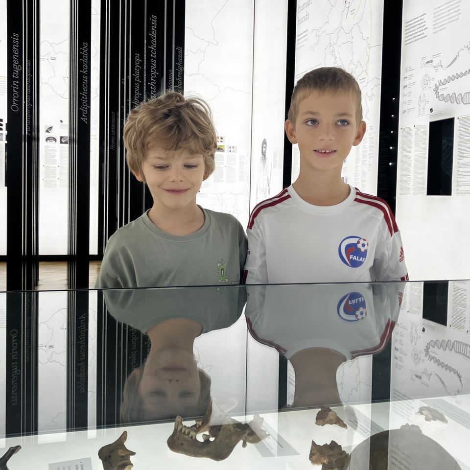 Slovenské národné múzeum