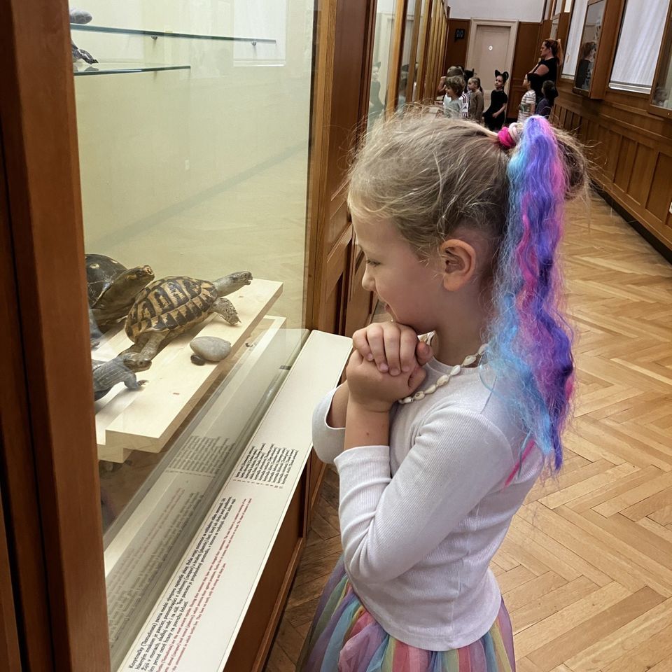 Slovenské národné múzeum