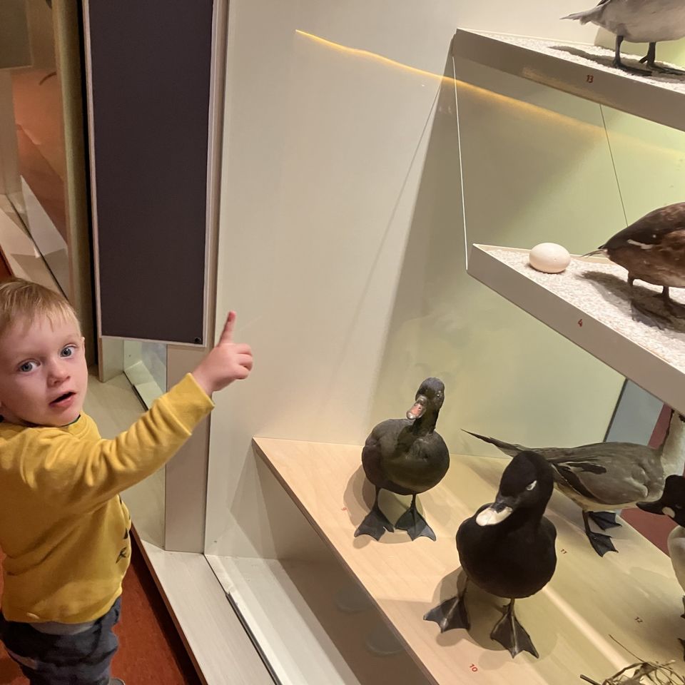 Slovenské národné múzeum