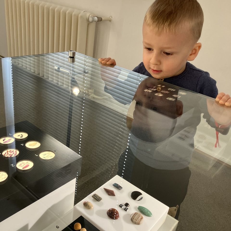 Slovenské národné múzeum