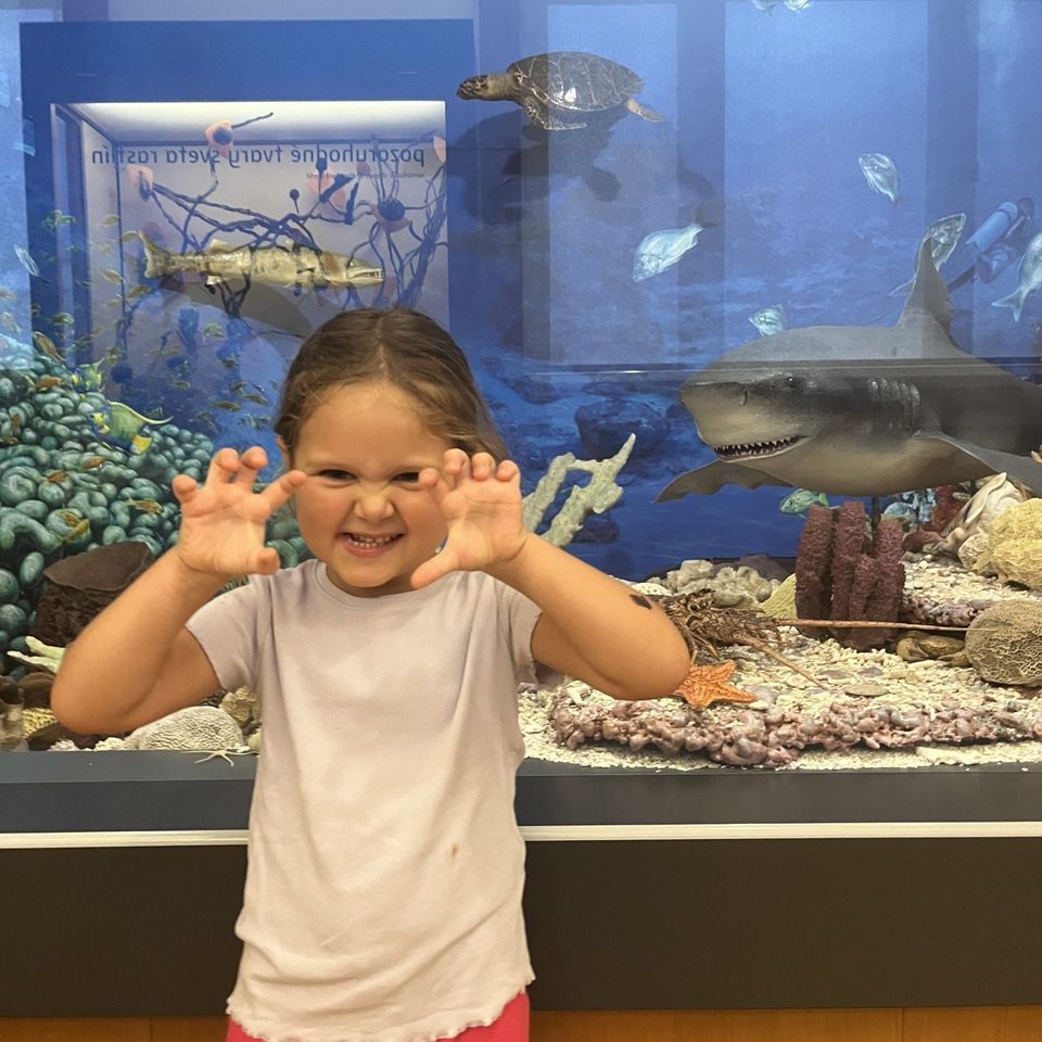 Výlet do Slovenského národného múzea