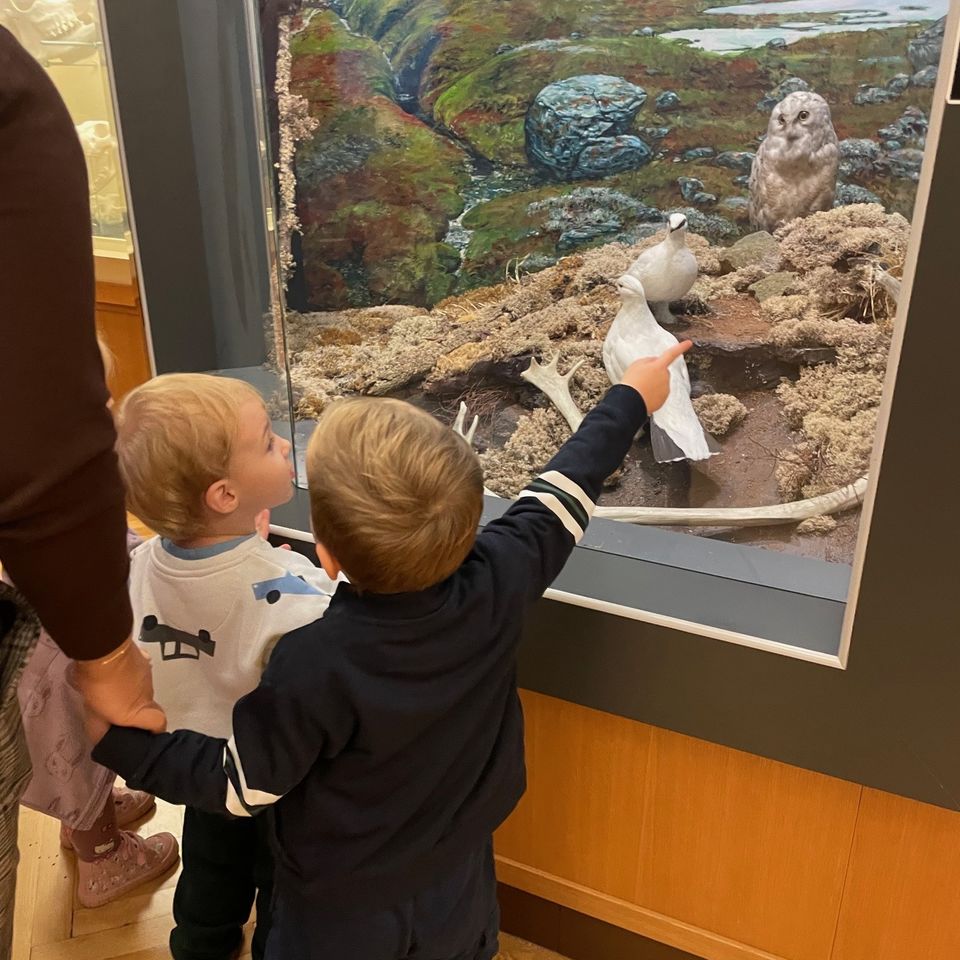 Výlet do Slovenského národného múzea