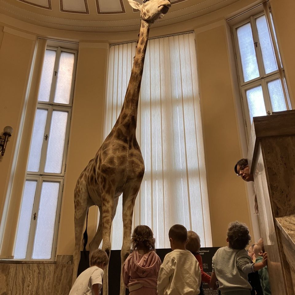 Výlet do Slovenského národného múzea